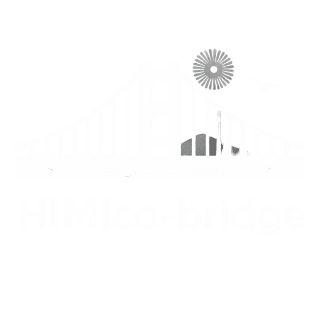 HIMIco-bridge
